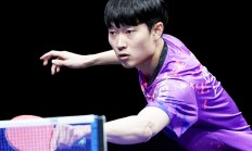 九游官网-中国乒乓球队鏖战德国乒乓球队，波尔高光表现的简单介绍