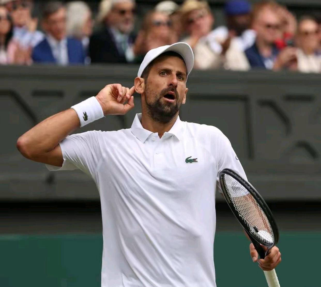 拉沃尔杯完胜澳网，德约科维奇统治全场的简单介绍